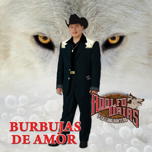 Disco Burbujas De Amor de Adolfo Urias Y Su Lobo Norteño