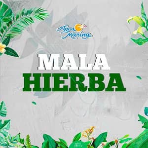 Disco Mala Hierba de Agua Marina