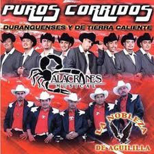 Disco Puros Corridos: Duranguenses Y De Tierra Caliente de Alacranes Musical