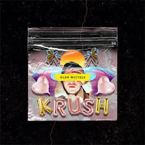 Disco Krush de Alan Wittels