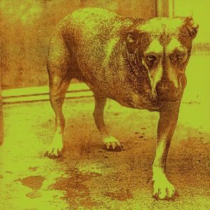 Disco Alice In Chains de Alice in Chains