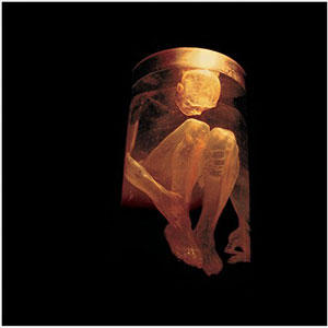 Álbum Nothing Safe The Best Of The Box de Alice in Chains