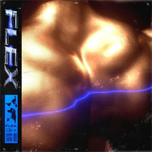 Disco Flex  de Alizzz