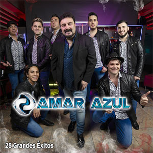 Disco 25 Grandes Éxitos de Amar Azul