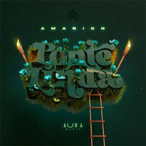 Disco Ponte Linda de Amarion