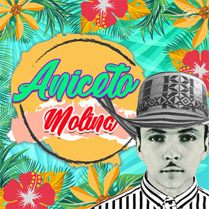 Disco La Comadre de Aniceto Molina