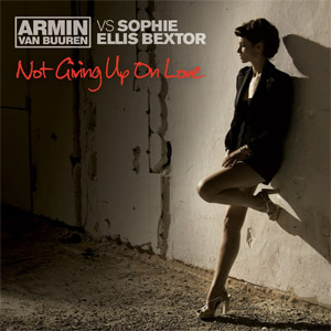 Disco Not Giving Up On Love de Armin Van Buuren