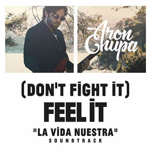 Disco (Don't Fight It) Feel It  de AronChupa
