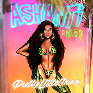 Disco Pretty Little Thing de Ashanti