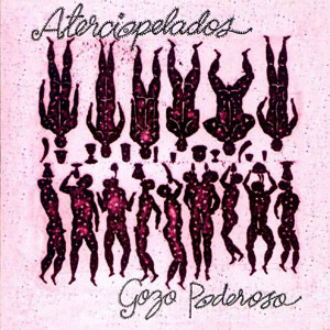 Disco Gozo Poderoso de Aterciopelados