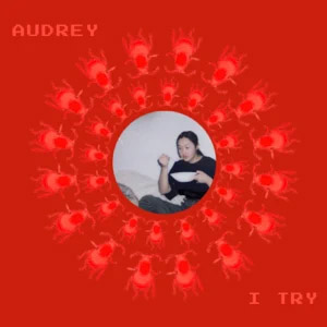 Disco I Try  de Audrey Nuna