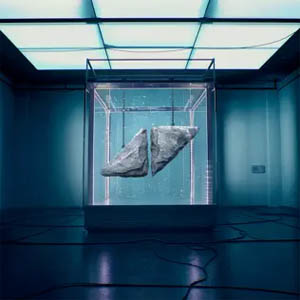 Disco Avicii Forever de Avicii