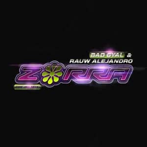 Disco Zorra (Remix) de Bad Gyal