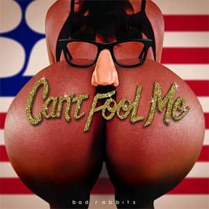 Disco Can't Fool Me de Bad Rabbits