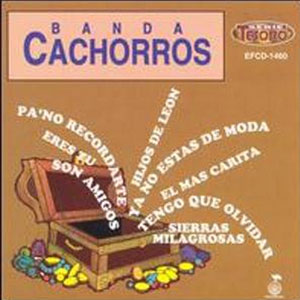 Disco Banda Cachorros de Banda Cachorros