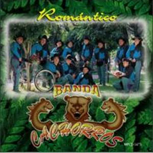 Disco Romantico de Banda Cachorros