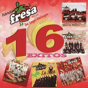 Disco 16 Éxitos de Banda Fresa Roja