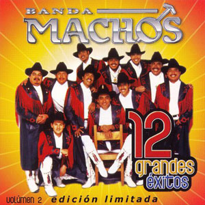 Disco 12 Grandes Éxitos Vol. 2 de Banda Machos