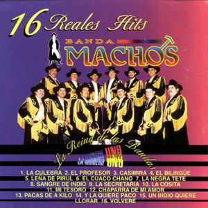 Disco 16  Reales Hits de Banda Machos