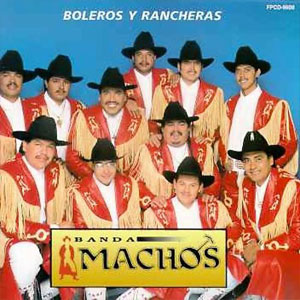 Disco Boleras y Rancheras de Banda Machos