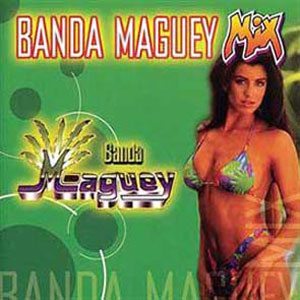 Disco Mix de Banda Maguey