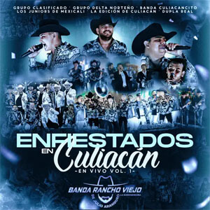 Disco Enfiestados En Culiacán, Vol. 1 de Banda Rancho Viejo
