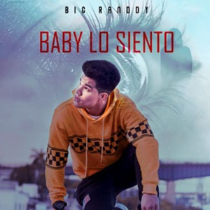 Disco Baby Lo Siento  de Big Randdy 