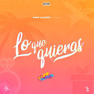 Disco Lo Que Quieras de Bokotax