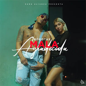 Disco Mala Agradecida de Bokotax