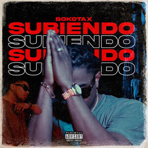Disco Subiendo de Bokotax