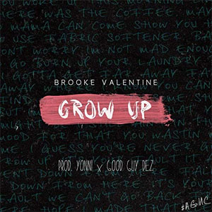 Disco Grow Up  de Brooke Valentine