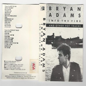 Disco Into The Fire And Other Hot Tracks de Bryan Adams