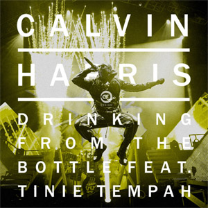 Disco Drinking From The Bottle de Calvin Harris
