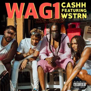 Disco Wag1 de Cashh