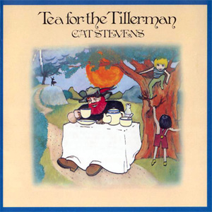 Disco Tea For The Tillerman de Cat Stevens
