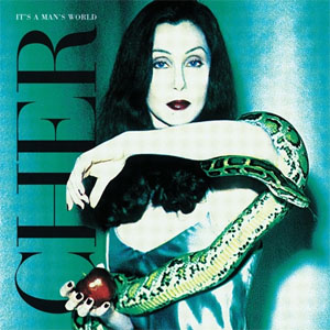 Disco Its A Man's World de Cher