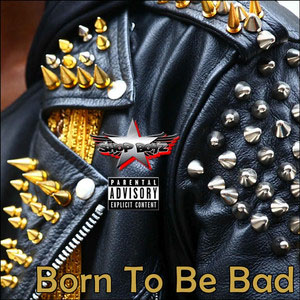 Disco Born to Be Bad de Da Shop Boyz