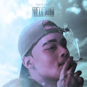 Álbum No Lo Duda de David Rone