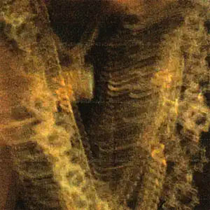 Disco Sharila de Dellafuente