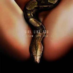 Disco Girl Like You de Dímelo Flow