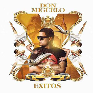 Disco Éxitos de Don Miguelo