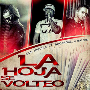 Disco La Hoja Se Volteó (Remix) de Don Miguelo