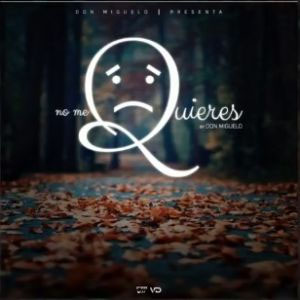 Disco Ya No Me Quiere de Don Miguelo