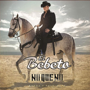 Disco No Que No (Banda Y Tololoche) de El Bebeto
