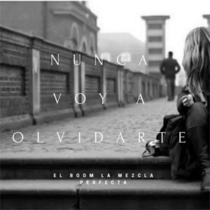 Disco Nunca Voy a Olvidarte de El Boom La Mezcla Perfecta