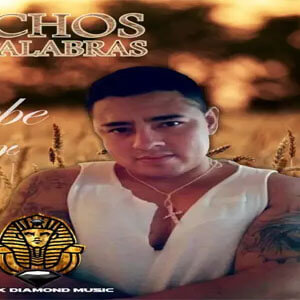 Disco Hechos No Palabras de El Plebe Del Sur