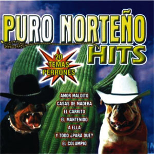 Disco Puro Norteño 20 Temas Perrones de Enigma Norteño
