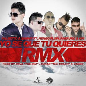 Disco Yo Se Que Tú Quieres (Remix) de Falsetto y Sammy