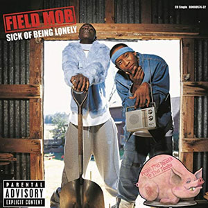 Disco Sick Of Being Lonely de Field Mob
