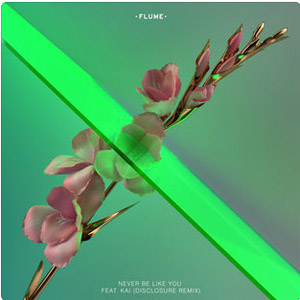 Disco Never Be Like You  [Disclosure Remix] de Flume